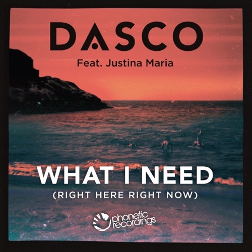 Sleeve: Dasco, What I Need